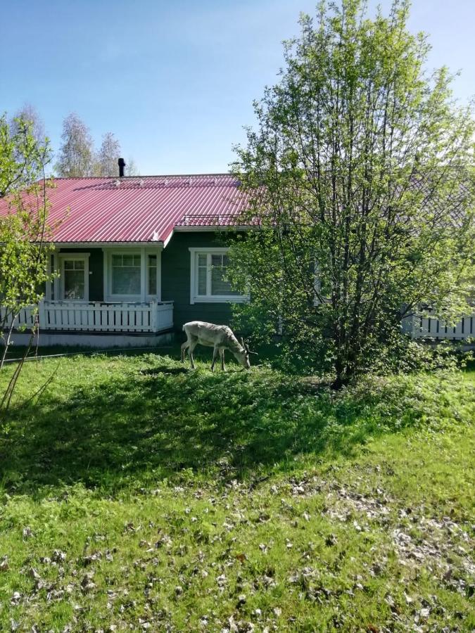 Ounasvaara Sport Cottages Rovaniemi Bagian luar foto